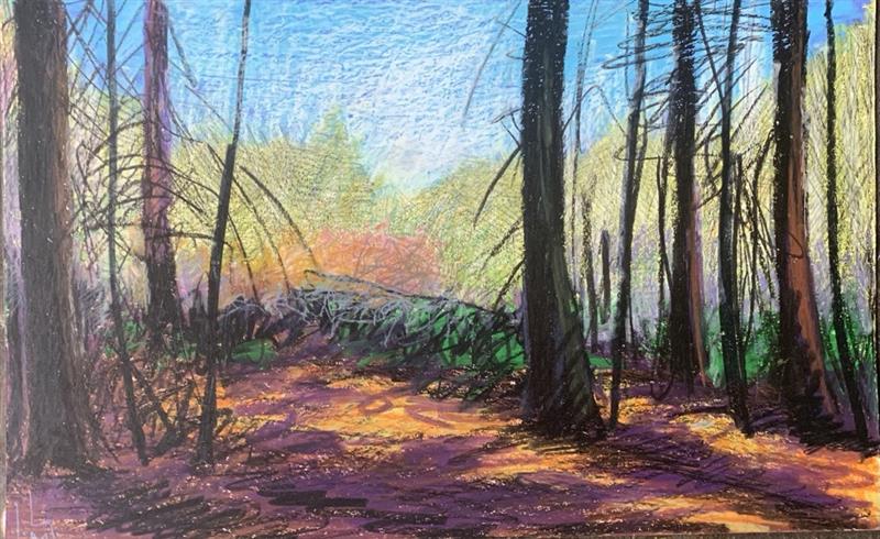 Dessin sur nature