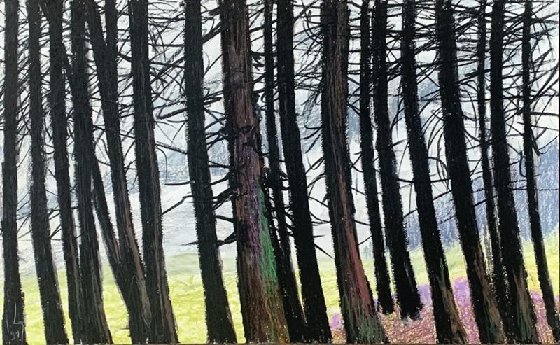 Dessin sur nature