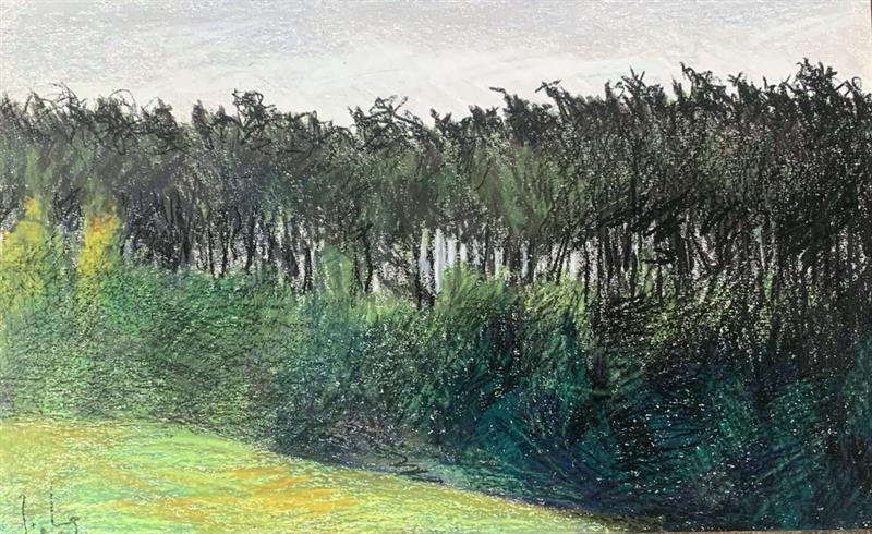 Dessin sur nature