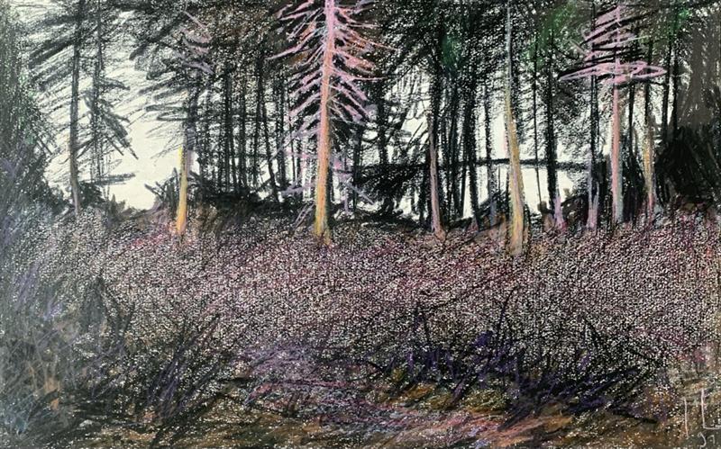 Dessin sur nature